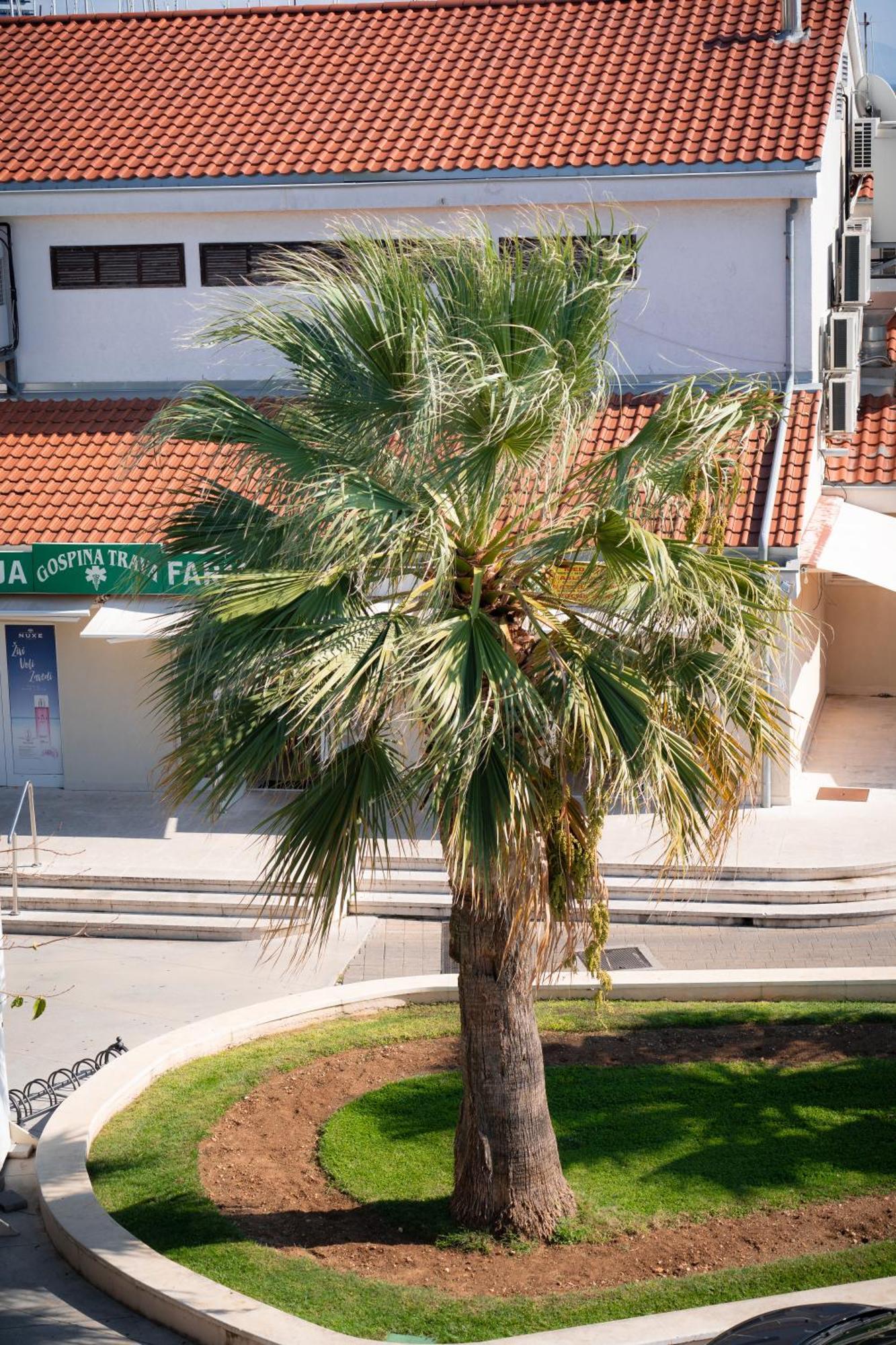 Apartments Centar فوديس المظهر الخارجي الصورة